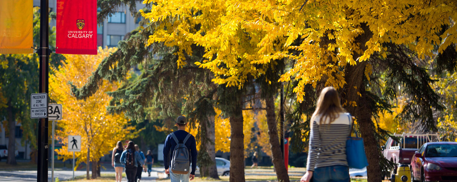 UCalgary campus in fall
