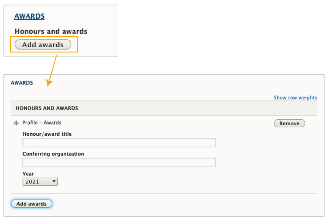 Screenshot: Awards section