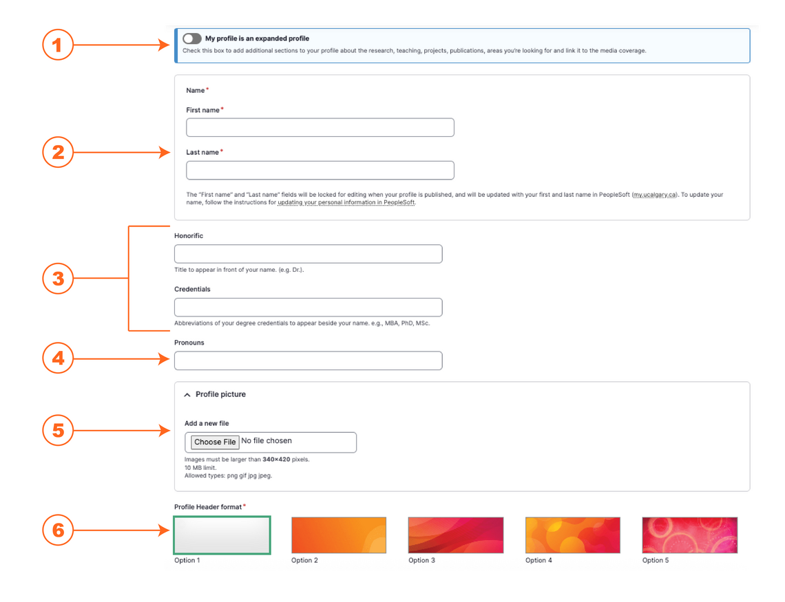 Screenshot of the first set of basic fields in the profiles system