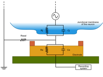 Schematic of 30 micron diameter electrode with Nano Edges,