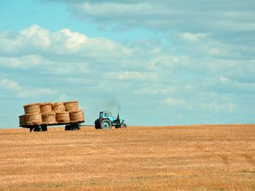 Fields