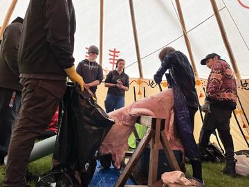 Hide preparation - Taught by Iyarhe-Nakoda community member(s)