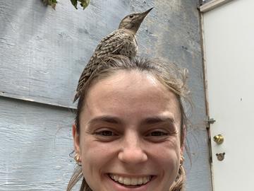 Student with Northern Flicker
