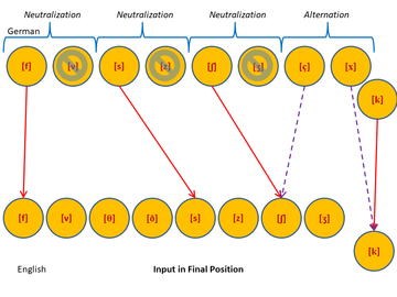 German to English Sounds - Final Position