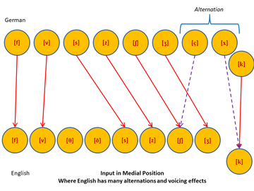 German to English Sounds - Medial Position