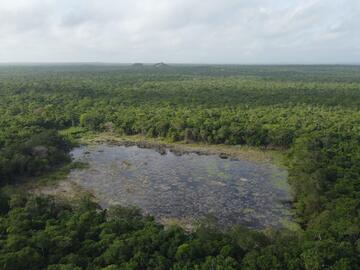 Reservoir 1, Calakmul