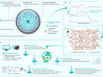 Methane assisted biorefineries #2