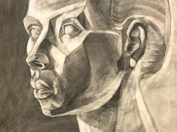 Practicing the planes of the face