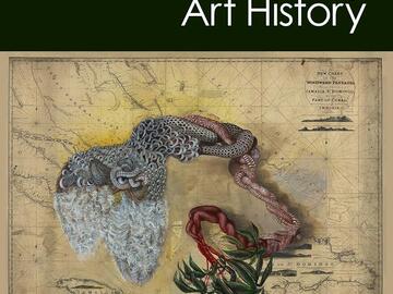 Cover of Decolonizing Art History