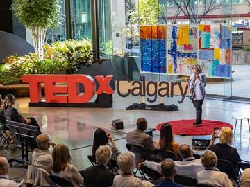 TEDx Calgary: Are Markets Efficient without Noise Traders?