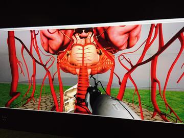 Giant Walkthrough Brain: Closeup