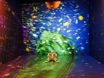 LINDSAY Cell Simulation in the CAVE