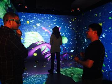 LINDSAY Cell Simulation in the CAVE: group experience