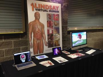 LINDSAY Display