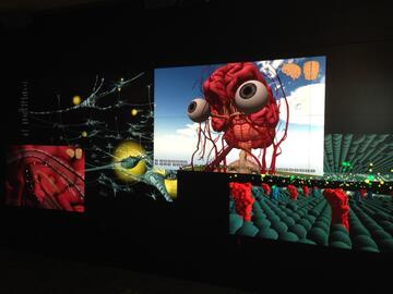 Giant Walkthrough Brain