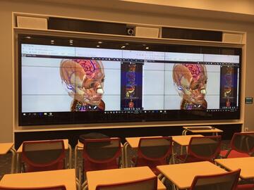 LINDSAY Anatomy in the Classroom