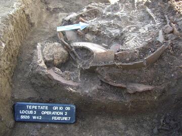 urn with skeletal remains