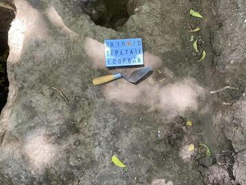 Locus 2, Op 6 post hole