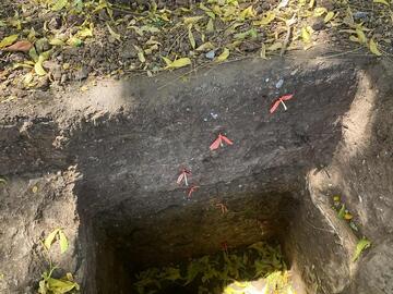 Locus 2, Op 6 profile