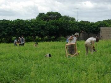 Shovel testing Locus 1