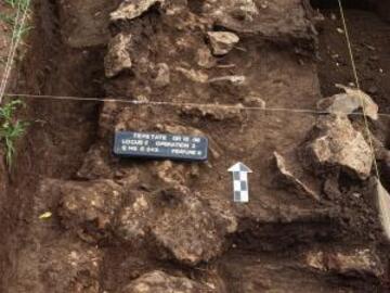 Locus 2 foundation wall