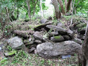 SW corner of Mound 14
