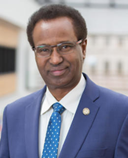 Hussein Warsame
