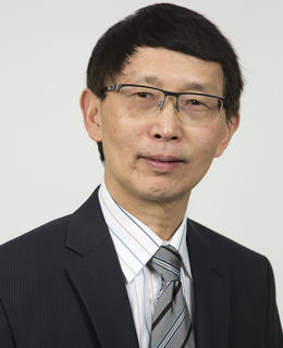 Professor LePing Li, PhD