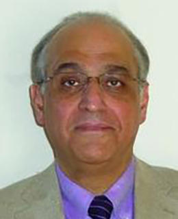 Hamid Habibi