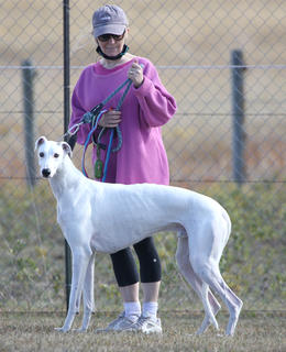 Dr. Boon and her dog, Kashmir