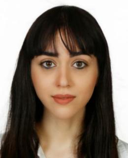 Shahrzad Gholizadeh Sarabi