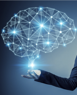 Computational Neuroscience