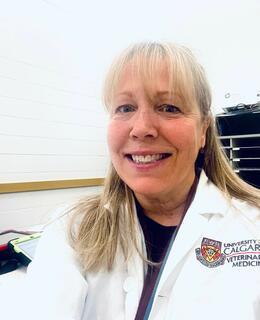 UCVM Administrative Assistant, DVM Program Office, Year 3 Undergraduate Education, Clinical Skills and Professional Skills Support