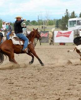 Team Roping