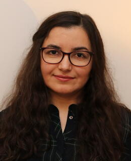 Profile photo of Dr. Samira Ebrahimi Kahou