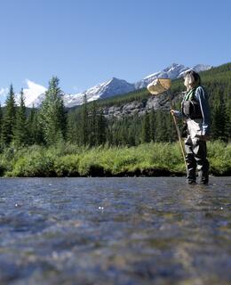 Person in waders standing in a river