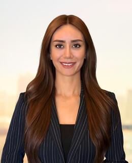 Paniz Mousavi Samimi