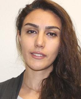 Homa  Rafiei Milajerdi